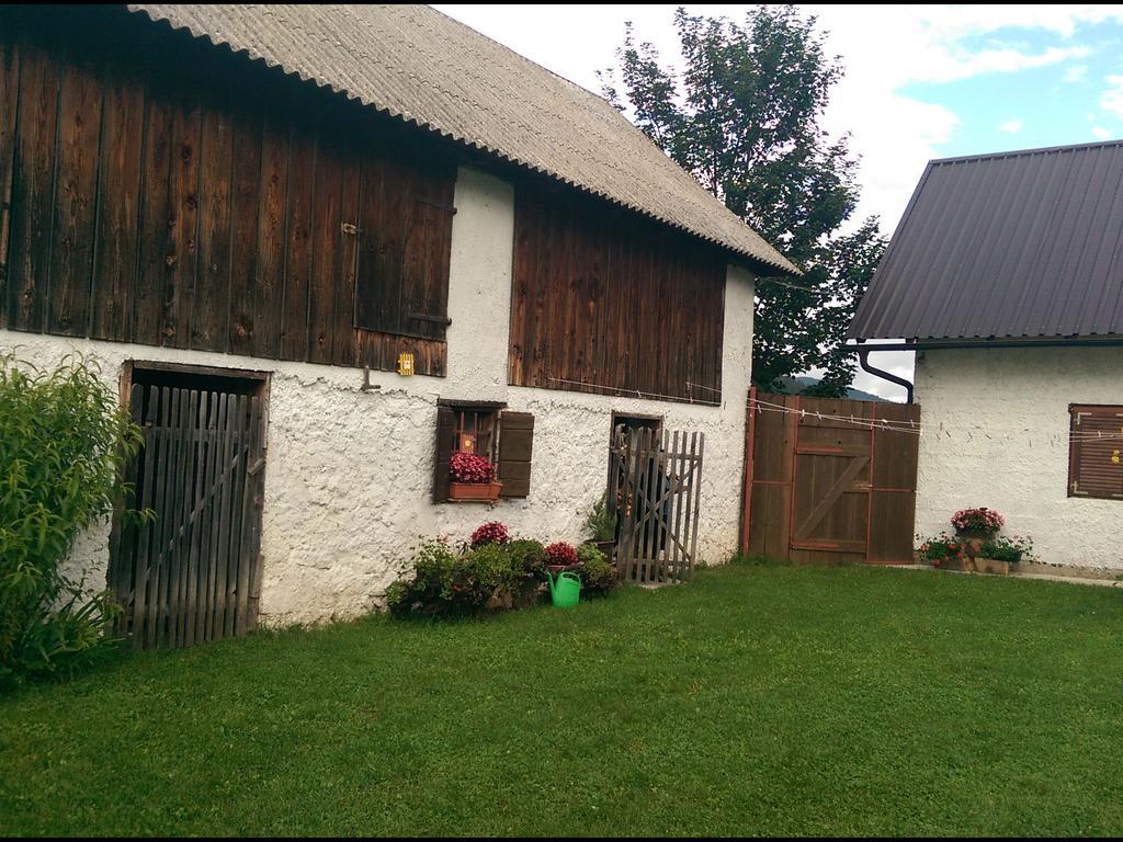 House Nada Apartment Donji Babin Potok Екстериор снимка