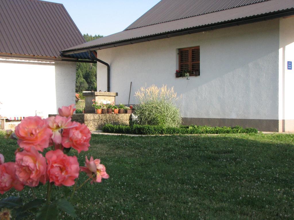 House Nada Apartment Donji Babin Potok Екстериор снимка